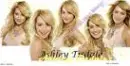 ashley tisdale 