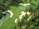 golf pic