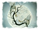 Moon Dragons