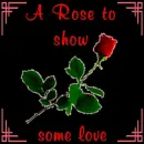 Love rose