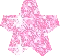 shiny star