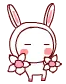cute rabbit