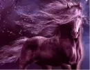 Horse ani
