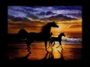 Horses colour change
