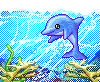 dolphin 
