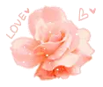 pink flower