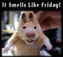 Friday