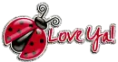 Lady Bug