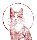gatto