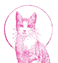 gatto