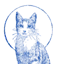 gatto