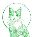 gatto