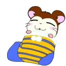 hammy ham