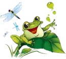 cute frog