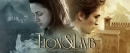 lion n lamb