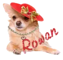 Rowan