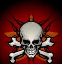 skull