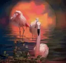 Flamingo Sunset