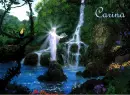 Carina