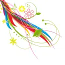 butterflys