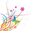 butterflys