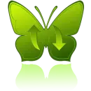 green butterfly
