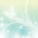 white butterfly