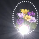 Light