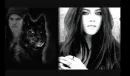 jacob n wolf n bella