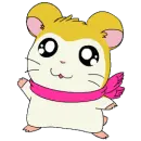 such a cute hamham