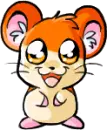 hamster1