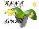 kwiat, Flower, Anna Loves it
