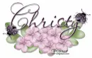 Christy-Lady bugs