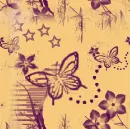 butterflys
