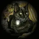 The Familiar