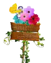 Ann's place