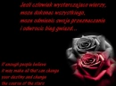 Red and Black