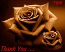 rose ...
