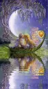 Wisteria Moon