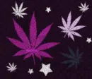Colorful weed