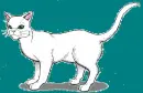 another cat