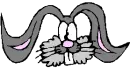 Cartoons