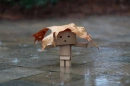 Umbrella