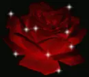 Little Red Rose