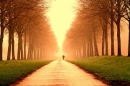 walking alone