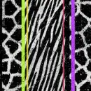 ZEBRA PRINT BACKGROUND