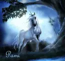 Pami