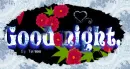 good night