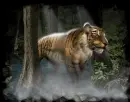 Tiger in the Myst