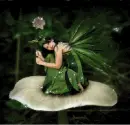 Green Faerie